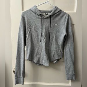 Laki Gray Cropped Hoodie